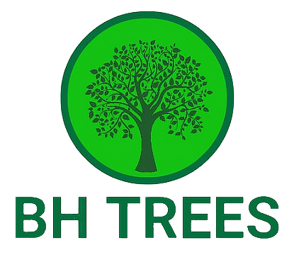 BH Trees