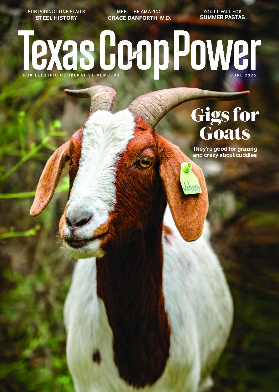 Texas Co-op Power Cover